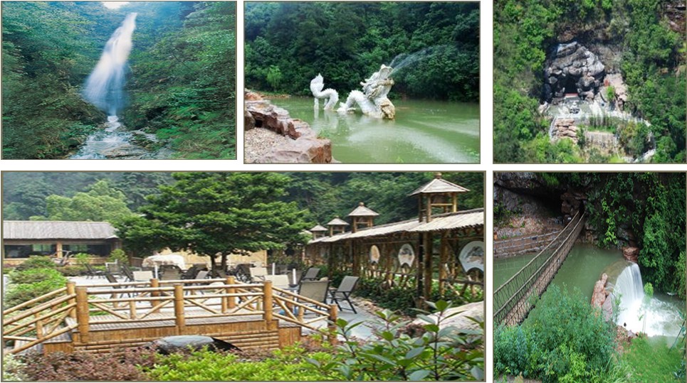 杭州龍塢白龍?zhí)杜嘤柣? />
            </div>
            <div   id=